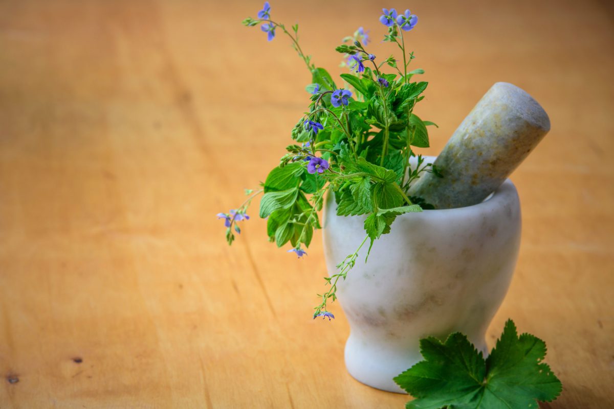 Purple flowers with green leaves in a mortar and pestle on a wooden surface