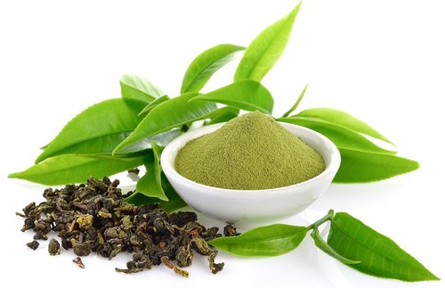 Green Tea Extract Immune Boosting Supplements
