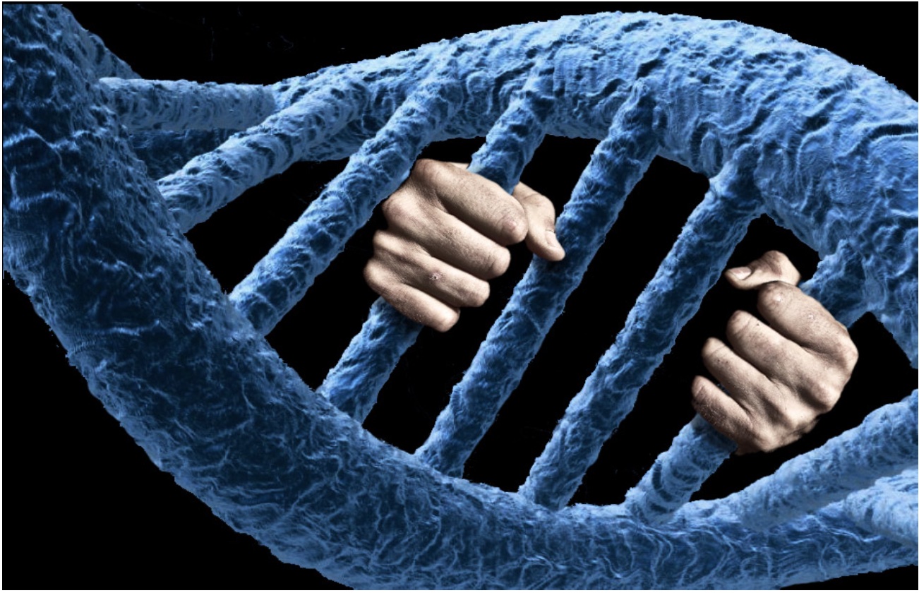 DNA strands with hands holding on like behind bars