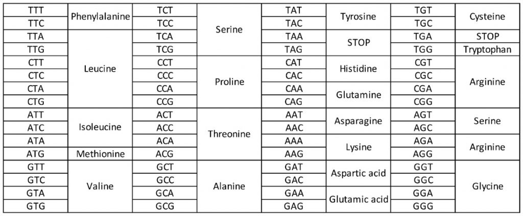 DNA Mapping Table