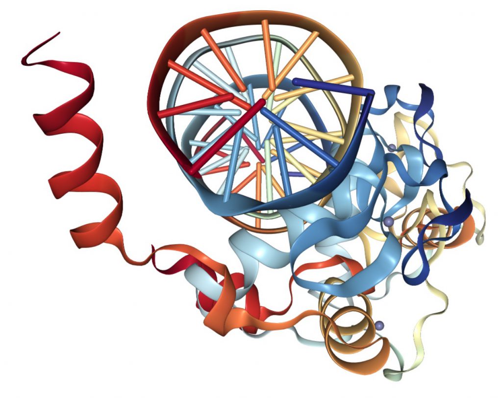 Genetic variant visualization